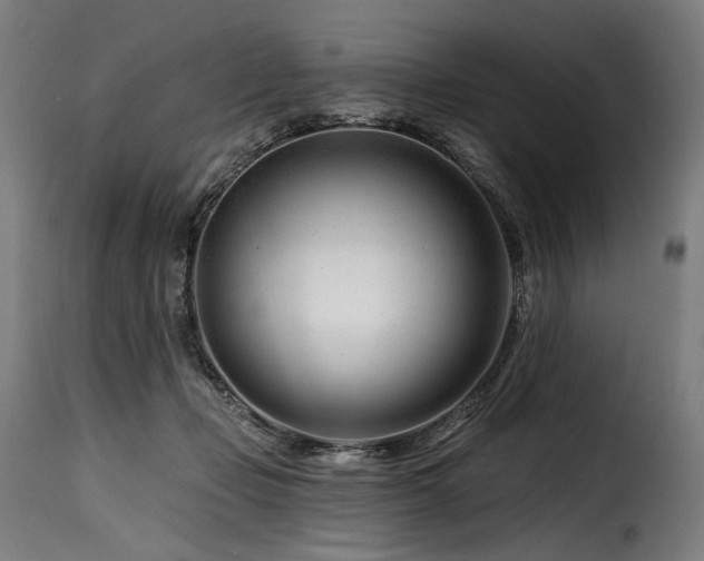 X0000116160365200911231410