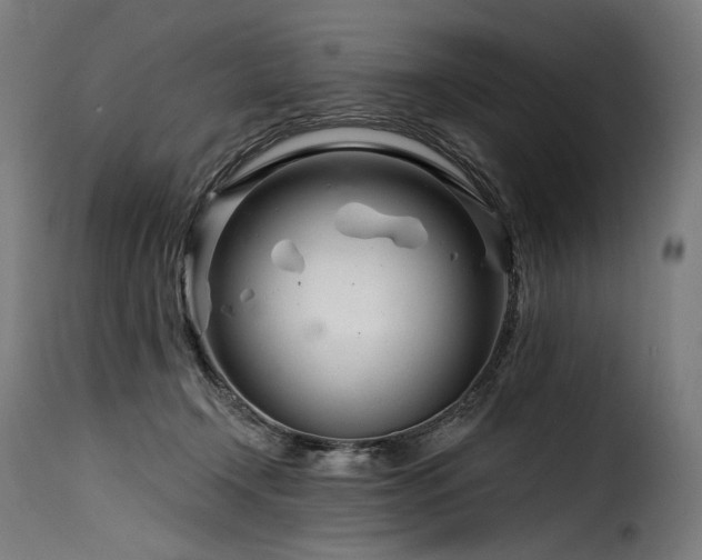 X0000116160366200911231410