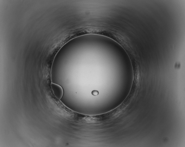 X0000116160367200911231410