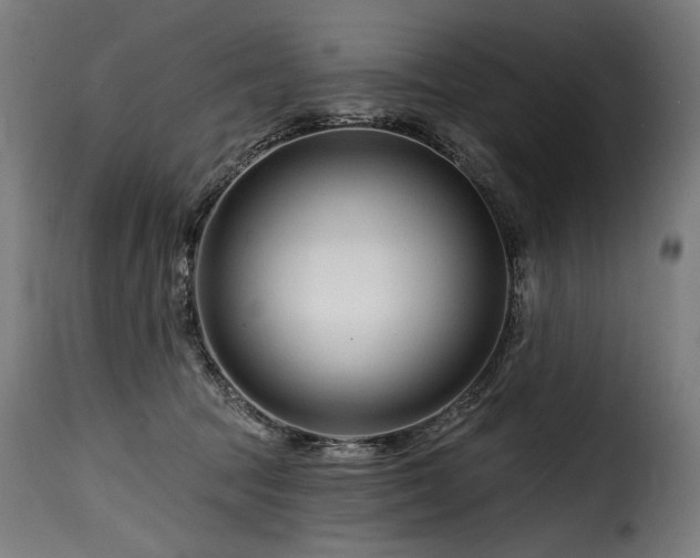 X0000116160369200911231410