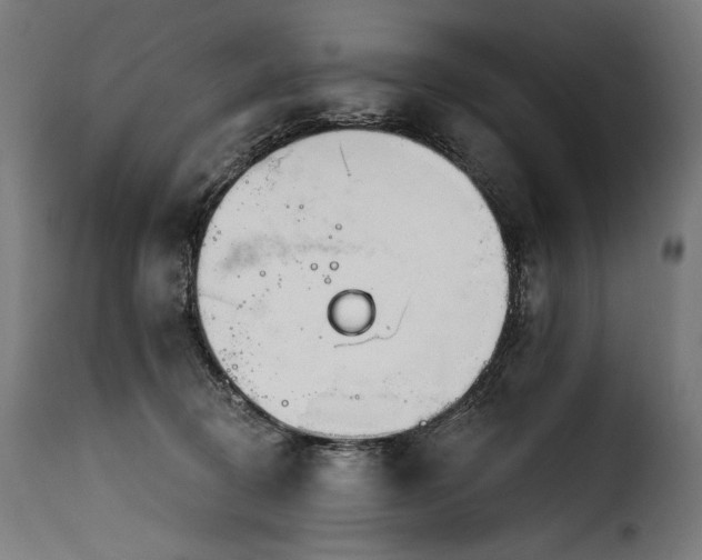 X0000116160370200911231411