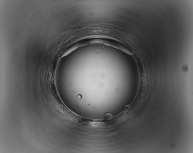 X0000116160371200911231411