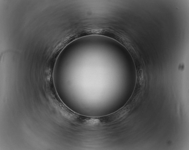 X0000116160374200911231411