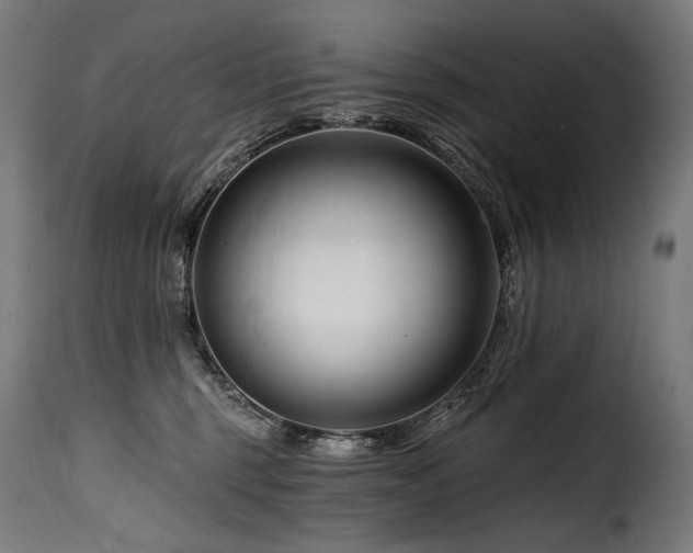 X0000116160375200911231411