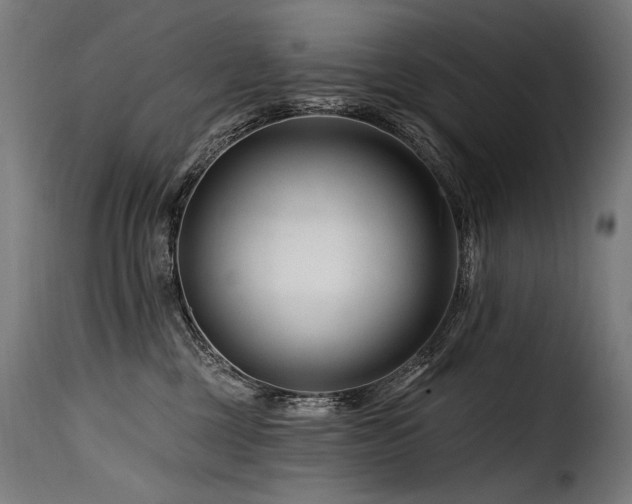 X0000116160377200911231411