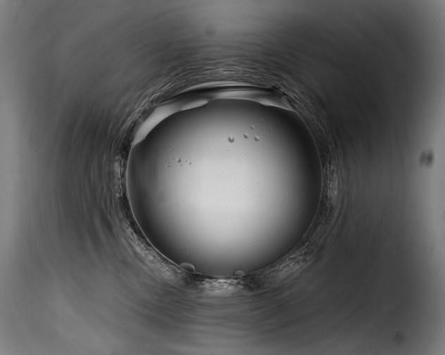 X0000116160378200911231411