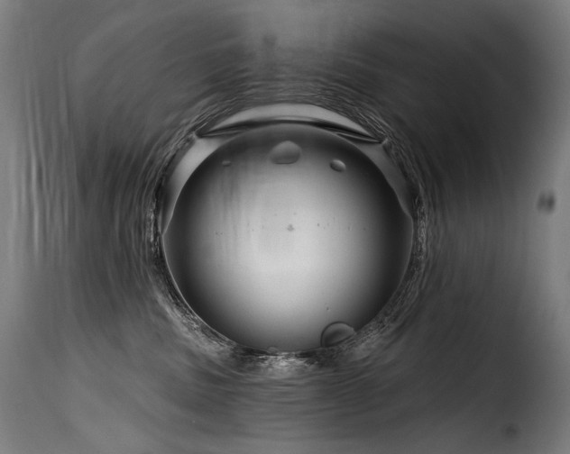 X0000116160379200911231411