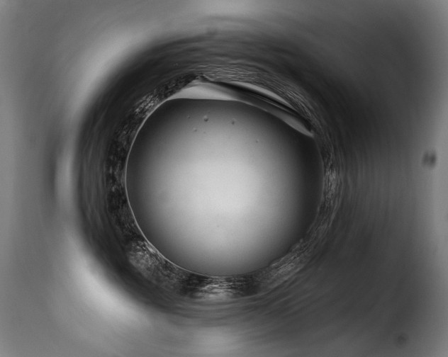 X0000116160381200911231411