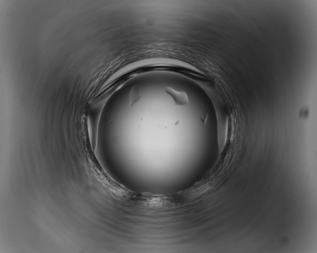 X0000116160382200911231411