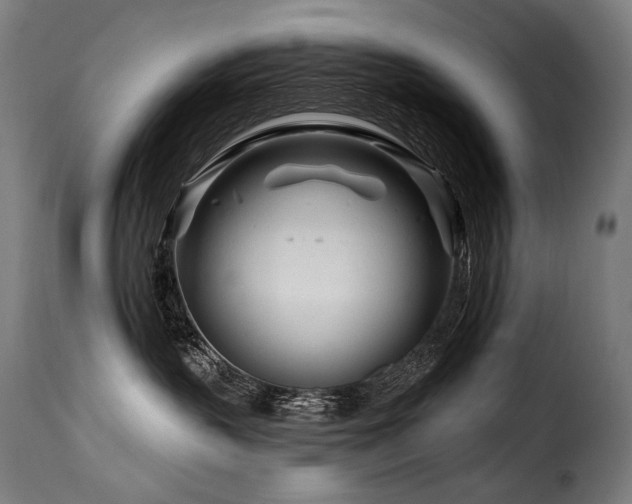 X0000116160383200911231411