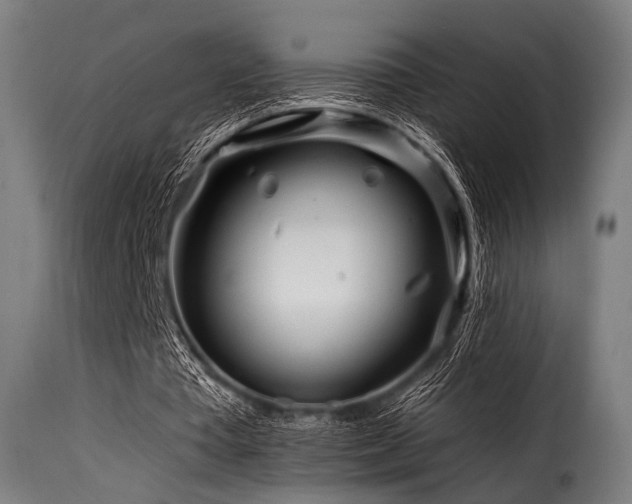 X0000116160385200911231410