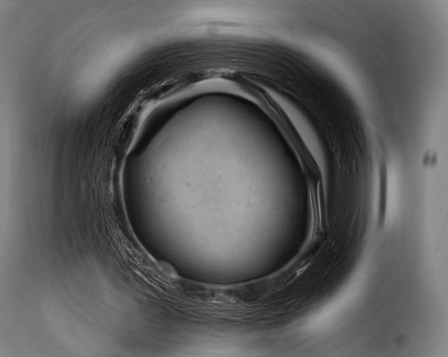 X0000116160387200911231410