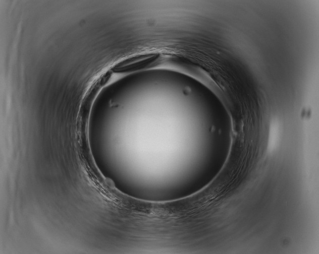 X0000116160388200911231410