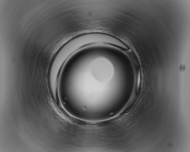 X0000116160389200911231410