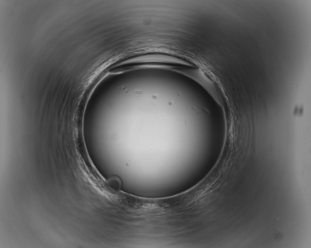 X0000116160390200911231410