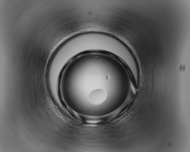 X0000116160391200911231410