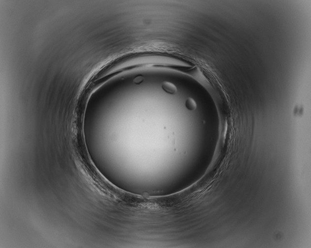 X0000116160392200911231410