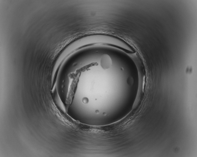 X0000116160393200911231410