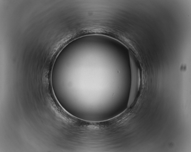 X0000116160394200911231410