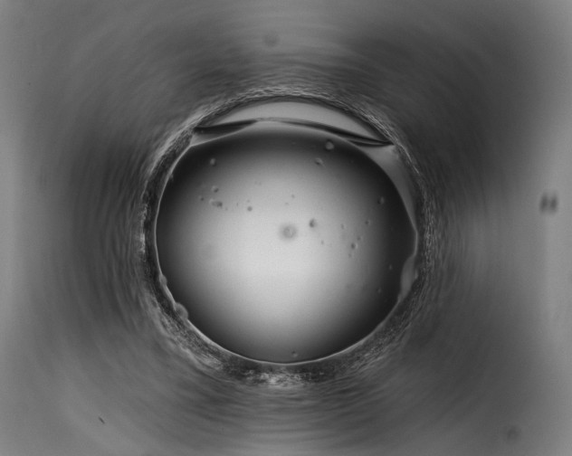 X0000116160395200911231410