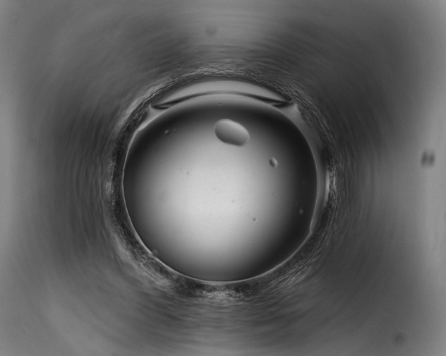 X0000116160396200911231410