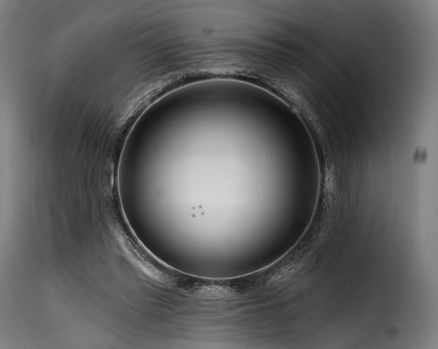 X0000116160397200911231410