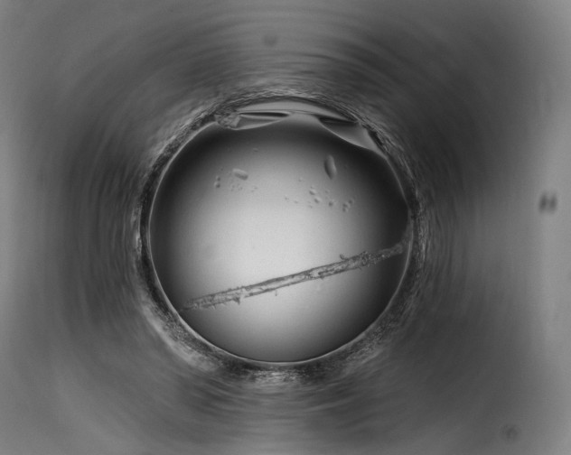 X0000116160398200911231410