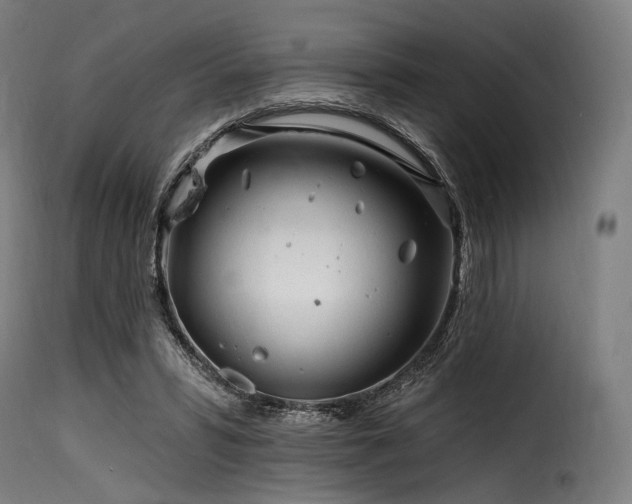 X0000116160399200911231410