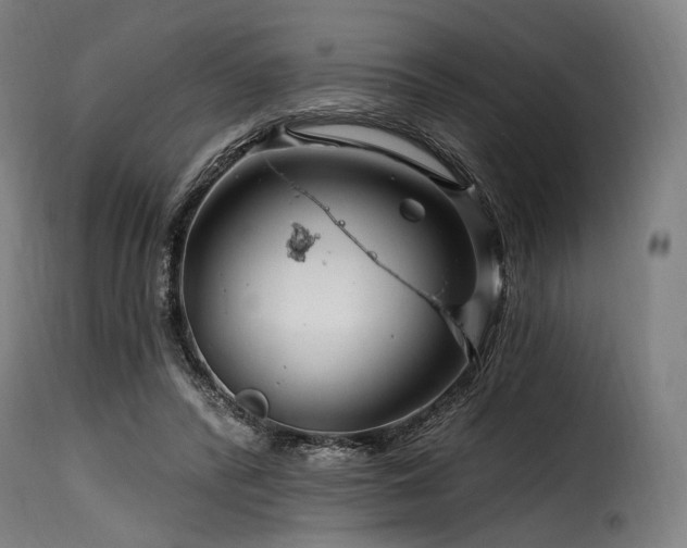 X0000116160400200911231410