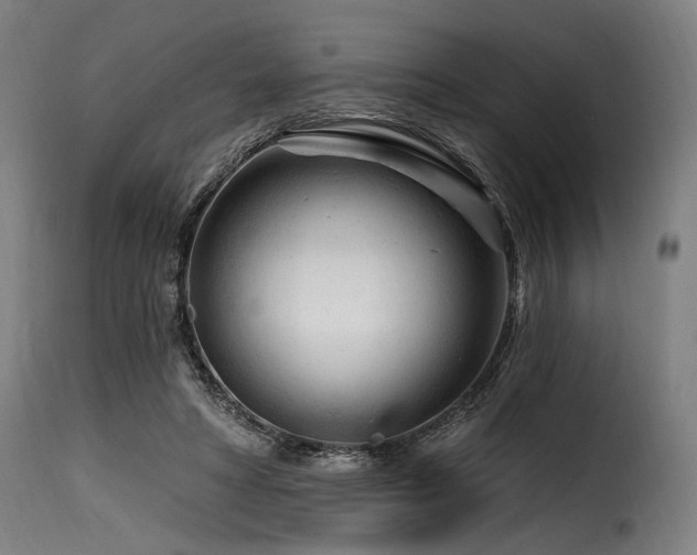 X0000116160402200911231410