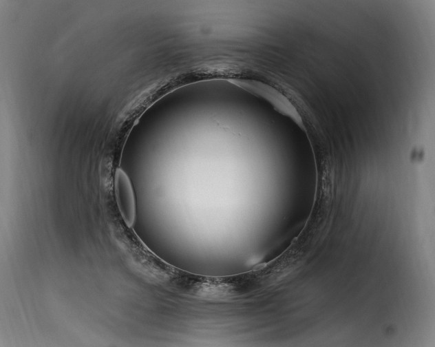 X0000116160403200911231410