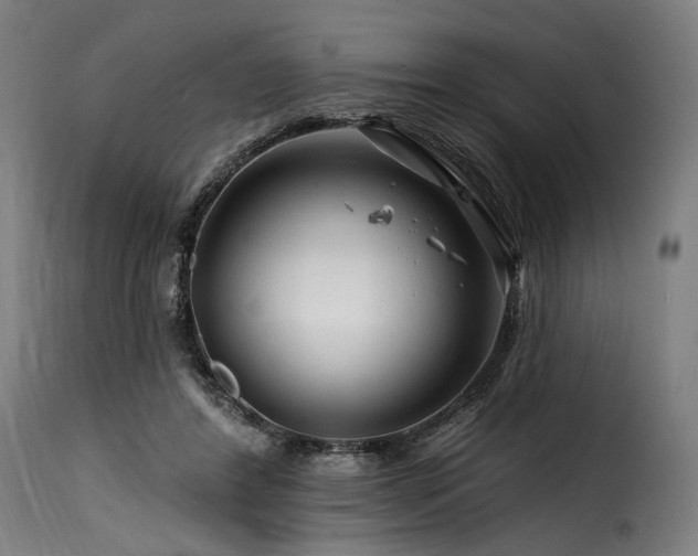 X0000116160404200911231410