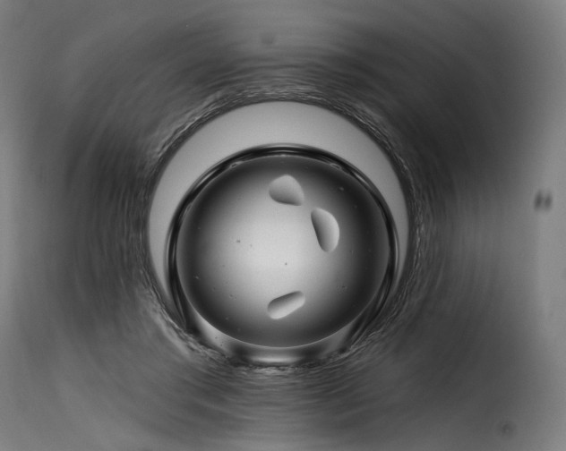 X0000116160405200911231410