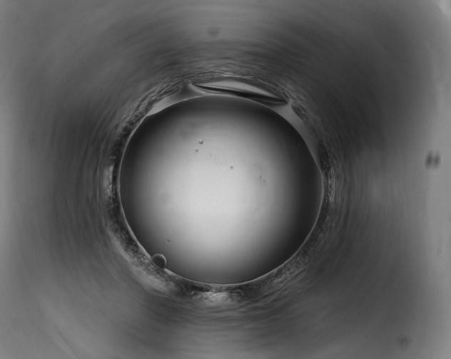 X0000116160406200911231410