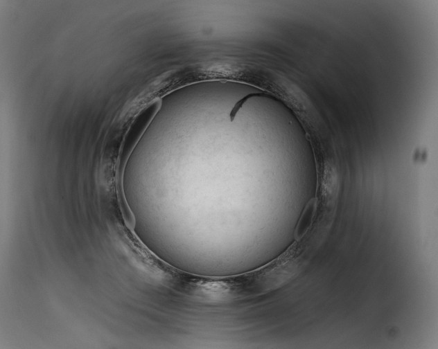 X0000116160409200911231410