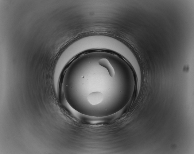 X0000116160411200911231410