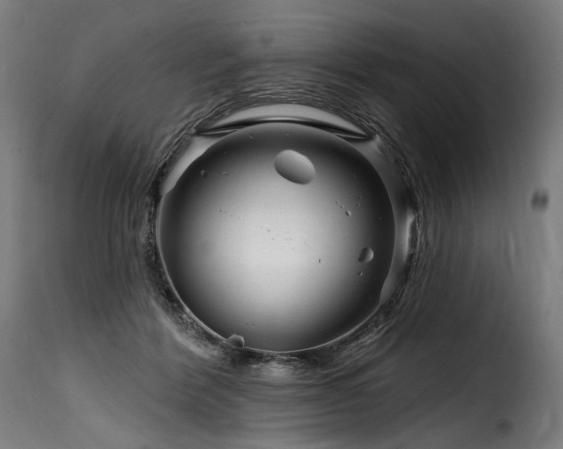 X0000116160412200911231409