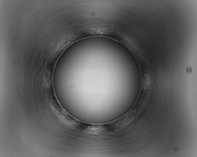 X0000116160414200911231409