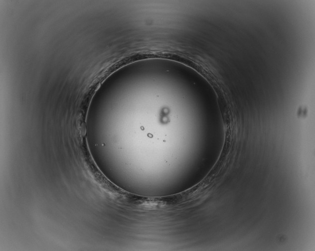 X0000116160415200911231409