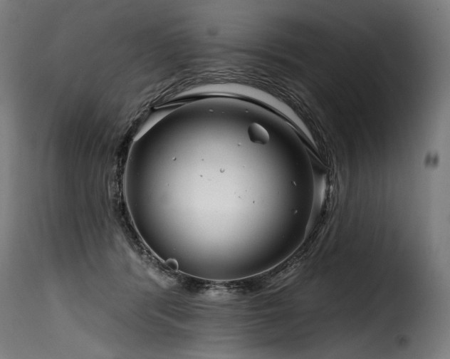 X0000116160416200911231409