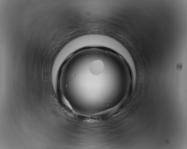 X0000116160417200911231409