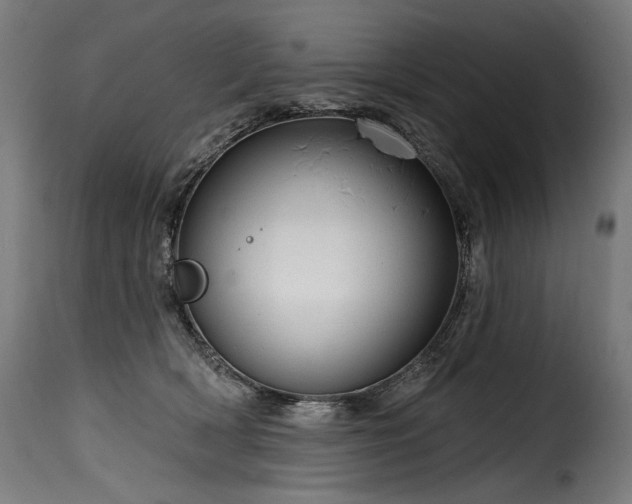 X0000116160418200911231409