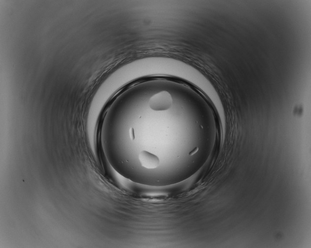 X0000116160419200911231409