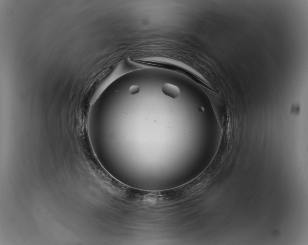 X0000116160420200911231409