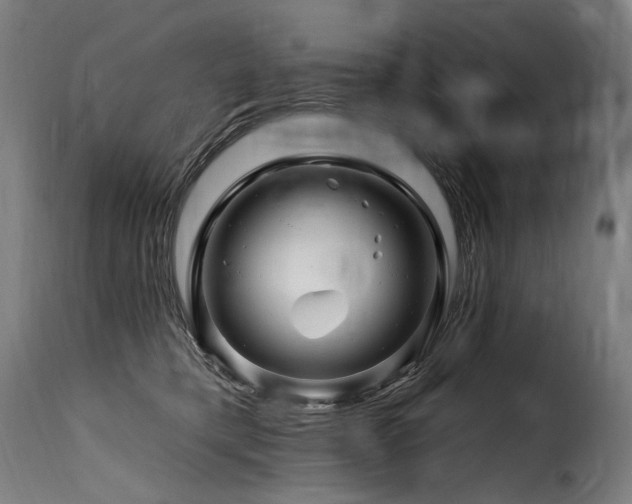 X0000116160421200911231409