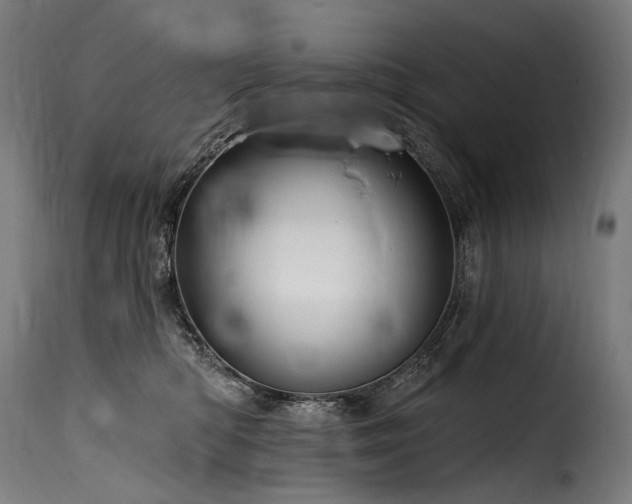 X0000116160422200911231409