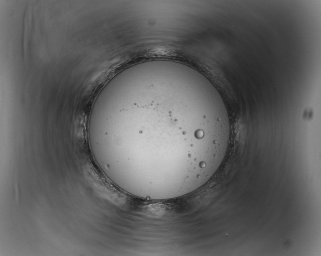 X0000116160423200911231409