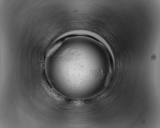 X0000116160424200911231409