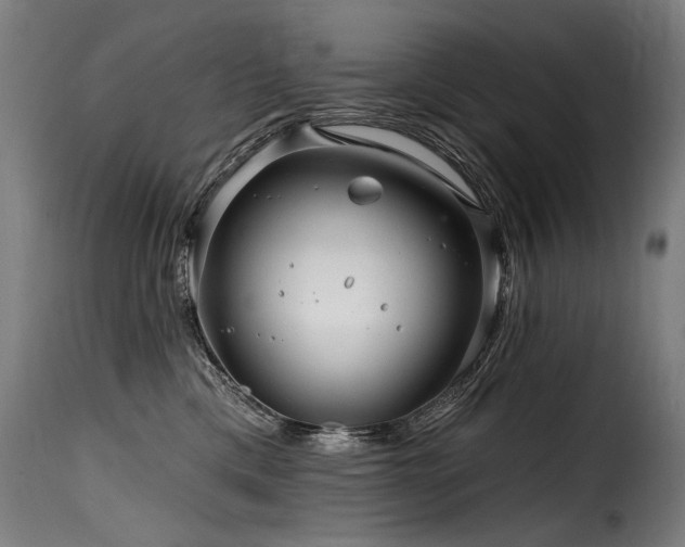 X0000116160425200911231409