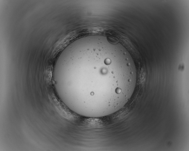 X0000116160427200911231409